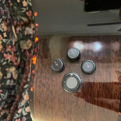 Breedlove Performer Pro CE image 3