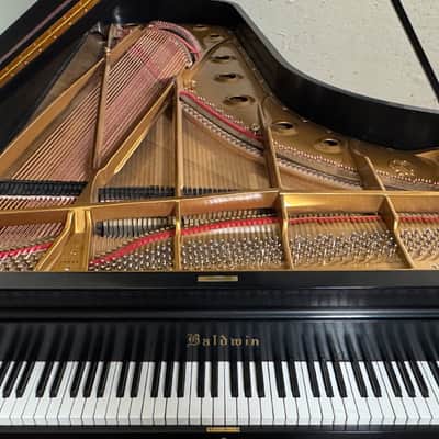 Baldwin D 1901 - Ebony Satin image 7