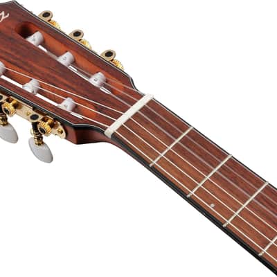 Ibanez FRH10NRGF Thinline Nylon Acoustic-Electric Guitar Rose Gold Metallic Flat image 8