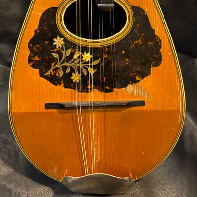 Bruno Bowlback Mandolin - Brazilian RW & Birds Eye Maple - Early 1900s - Great Player - All Org. - Case - Ships FREE!!! image 2