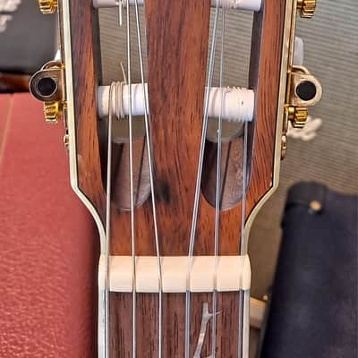 Ibanez Tim Henson Signature TOD10N 2022 - Present - Transparent Black Flat image 4
