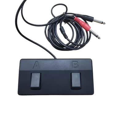 Roland 2-Button Footswitch for Acoustic Singer Amps (Live and Pro) image 2