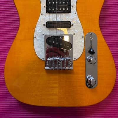 Samick Valley Arts Ray Benson Signature Series Telecaster image 6