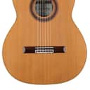 Cordoba F7 Paco Flamenco Nylon String Acoustic Guitar - Natural