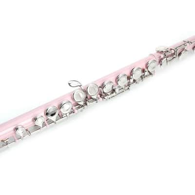 Cxxss Pink School Band Student 16 Hole C Flute Set With Case & Accessories Gift image 3