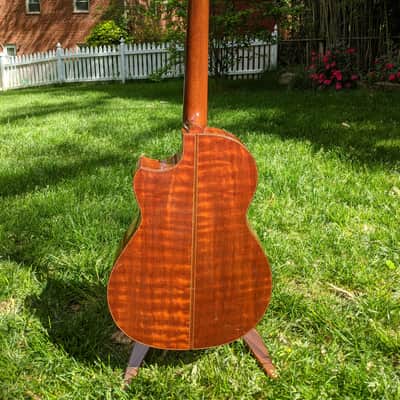 2019 The Tree Sexauer FT-000-C German Top Multi-Scale Fanfret Hot Hide Glue Varnish #2870219 image 14