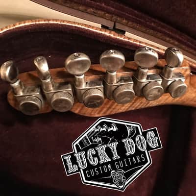 Lucky Dog Televangelist Custom relic aged telecaster tele guitar + gatorskin embossed teardrop case image 5