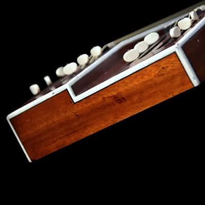 (Video) Double-Neck, non-Pedal Lap Steel w/Stand & OHSC image 10