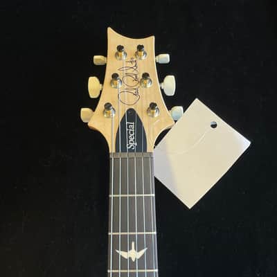 Paul Reed Smith CE 24 Special Limited-Edition Electric Guitar Carroll Blue 2026 - Carroll Blue image 6
