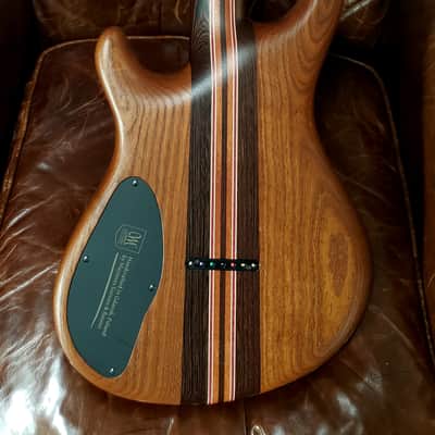 Used One Owner Mayones 2022 Regius 7 26.5" Camphor Burl top, No Binding, Exotic I neck, TEW body, Bare Knuckle Pickups Unity image 10