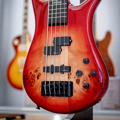 Spector Euro 5 CST - Natural Red Burst Gloss image 6