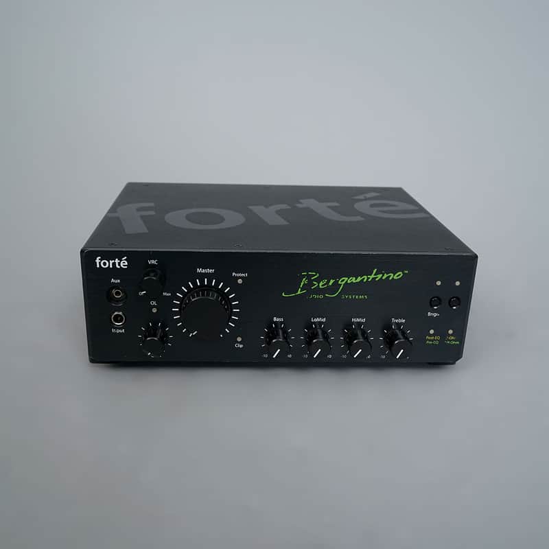 Bergantino Forte 800-Watt Bass Head image 1