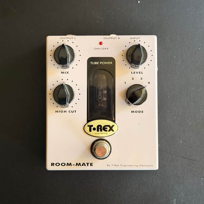 T-Rex Room-Mate