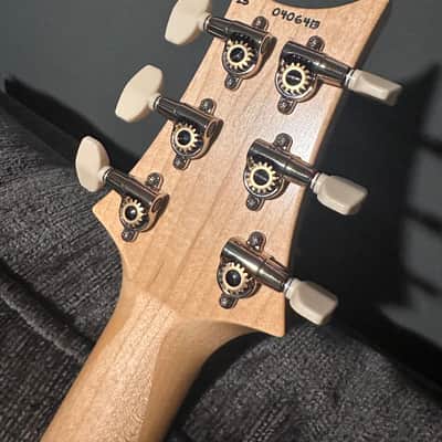 PRS NF 53 2023 - Present - White Doghair image 8