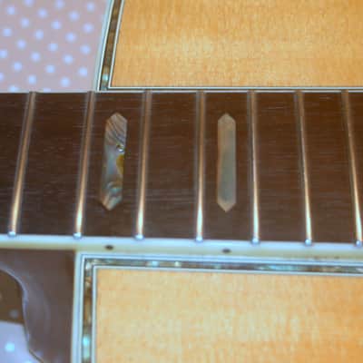 1984 Yairi YW800 B. Rosewood Jacaranda Japan Vintage - Natural+Vintage Hard Case image 24