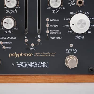 Vongon Polyphrase Stereo Echo Infinite Repeat Desktop Effects Unit #58701 image 6