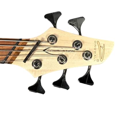 Dingwall Combustion 5, Whalepool Burst w/ Pau Ferro B STOCK (Cannot Find Flaw) *In Stock!** image 10