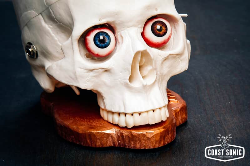Dr. No SkullFuzz image 1