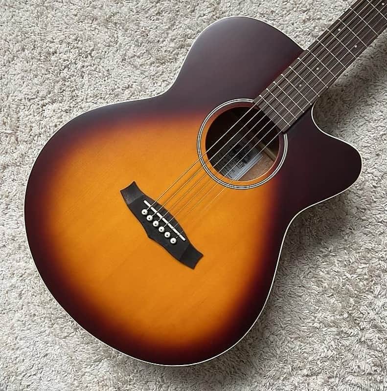 Custom Folk Acoustic Guitar, Solid Spruce Top, Maple Neck, Rosewood Fingerboard image 1