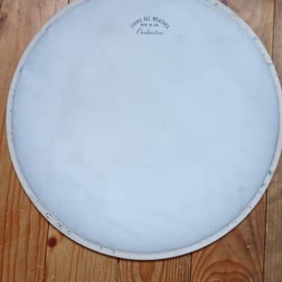 Evans Rare All Weather Orchestra 13" 50s-60s  - Vintage coated white image 2