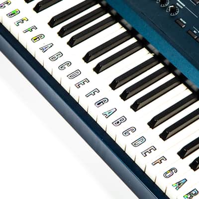 Korg Triton Extreme Owned by Travis Barker image 6