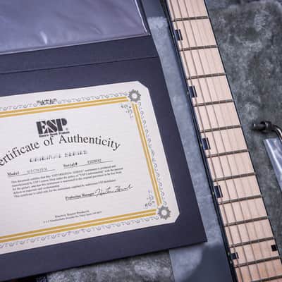ESP MIJ Original MII CTM FR/M Limited Edition "Liquid Metal Silver + Maple" (2024) image 3