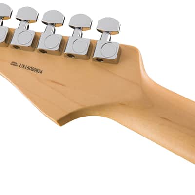 Fender 011-3010-700 American Professional Strat Guitar Bundle image 5