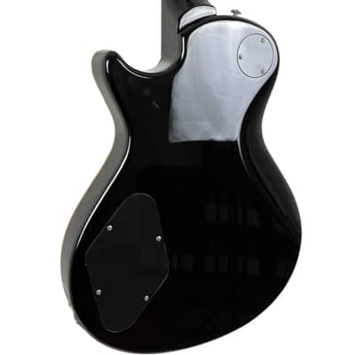 PRS SE Chris Robertson Signature 2016 - Kentucky Blueburst image 5
