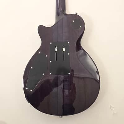 AL-3200MCC-P-27 Agile Special Edition Signature Guitar w/Floyd Rose Chris Poland Black Flame Baritone image 6