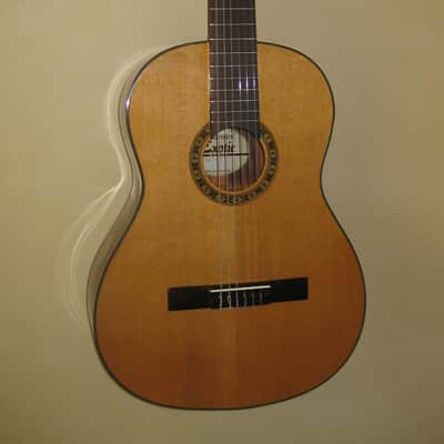 Giannini GWNEW 3 Exotic Series All Solid Wood Classical Guitar w/Hardshell Case image 1
