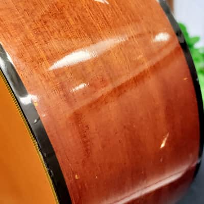 Enrique Tapicas C40 Cadiz Classical Guitar by Washburn - Natural image 19