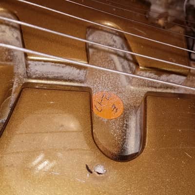 Fender Gold/Gold Stratocaster 1981 - 1983 image 23