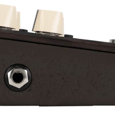 L.R. Baggs Align Series Delay Pedal image 3