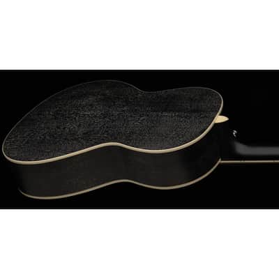 PRS SE P20E Dog Hair - Acoustic Guitar image 5