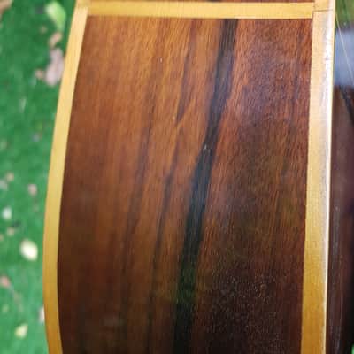 Giannini AWN 6 3/4 Classical Guitar 1980 - Natural / Figured Imbuia image 12