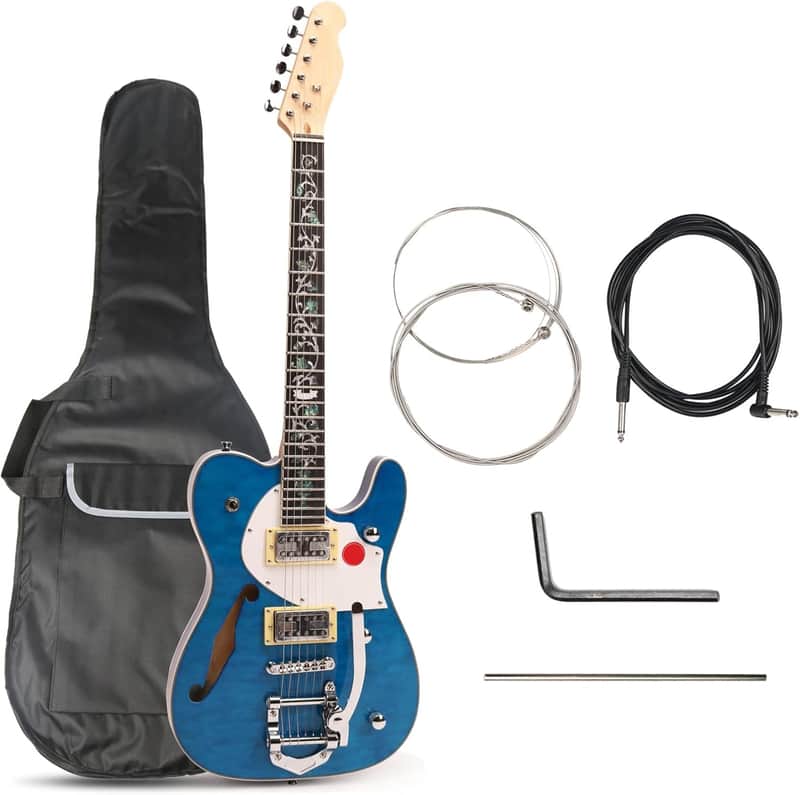 Semi Hollow Body Electric Guitar,Electric Guitar,Quilted Maple Top ,Bridge, Flower Inlay image 1