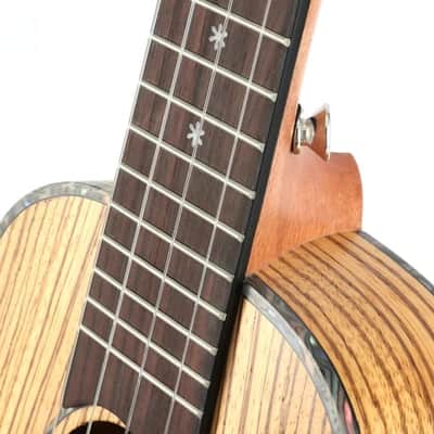 Zebrawood Body 23 inch Concert Ukulele with Ukulele Set Tuner Strap Nylon Strings image 7