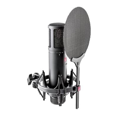 sE Electronics sE2200 Large Diaphragm Cardioid Condenser Microphone image 2