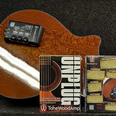 HONZ Tech ToneWood Amp for Acoustic Guitar image 25
