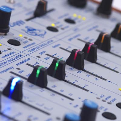 Buchla Ziggy image 6
