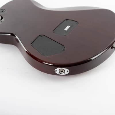 Taylor SB-1 Solidbody Standard 2007 Aged Cherry Sunburst image 15