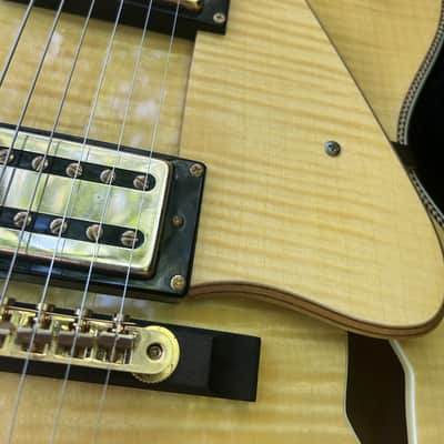 Devlin DVE 9 ~ Jazz Box ~ Hard Case image 3