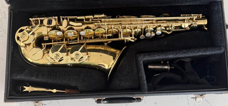 Selmer U.S.A. “Omega” MG288 Intermediate Eb Alto Saxophone - Lacquered Brass image 1