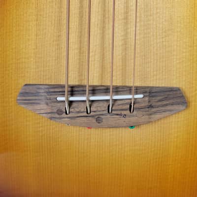 Breedlove Discovery S Concert Bass CE - Edgeburst, B-Stock Free Shipping image 11