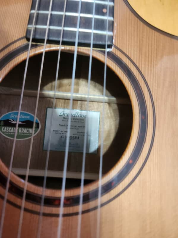 Breedlove Pursuit EX S concert nylon ce - Gloss image 1