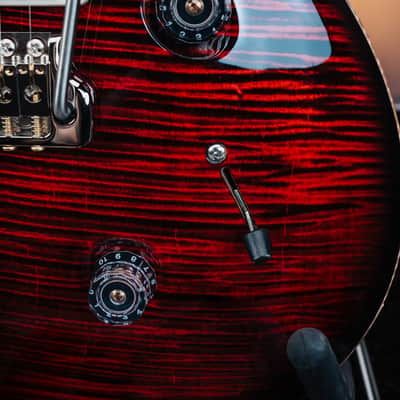 PRS Custom 24 "Birds of a Feather" Limited Edition 2026 - Blood Red #2 image 3