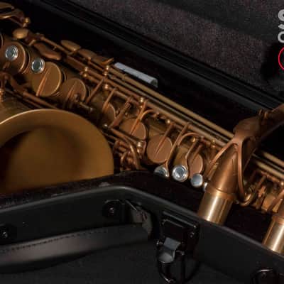 NEW Eastman EAS852 52nd Street Professional Eb Alto Saxophone image 15
