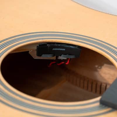 Gold Tone Festival Series GT-Dread: Acoustic/Electric All Solid Wood with Bag image 5