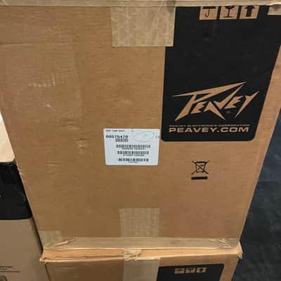 PAIR OF Peavey Sanctuary Series SSE 10M Two-Way Passive Wedge Speaker 2010s - White image 4