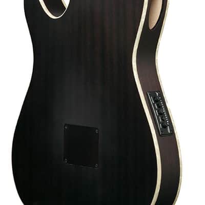 Ibanez TOD10NTKF, Tim Henson Signature Nylon Acoustic Electric Guitar – Transparent Black image 5